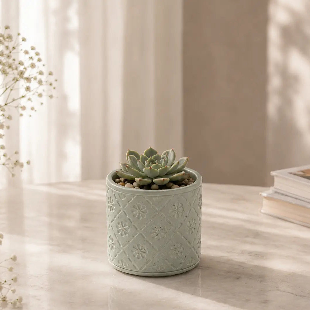 PhoolKalaa concrete vessel reused as a succulent planter